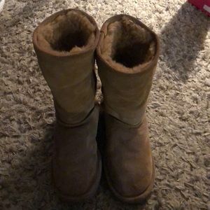 Barepaw Boots